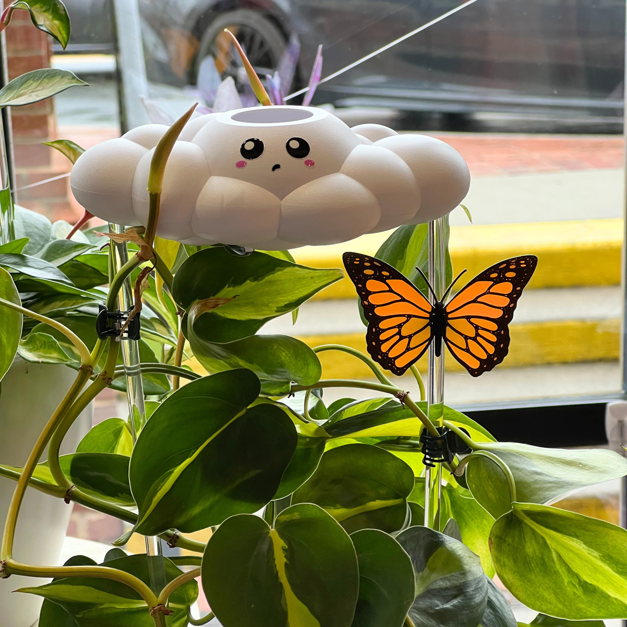 Colby the Cloud