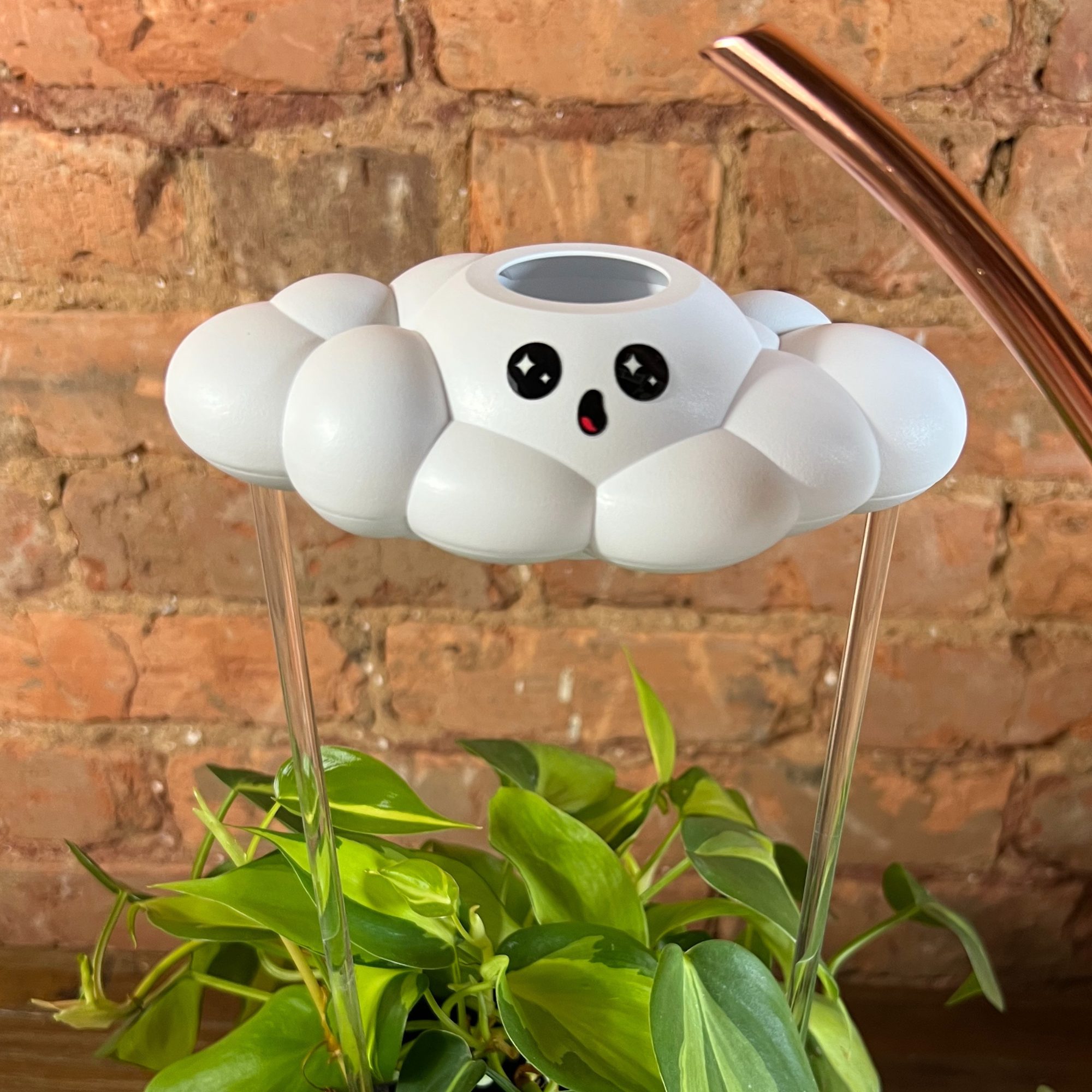 Cosmo the Cloud