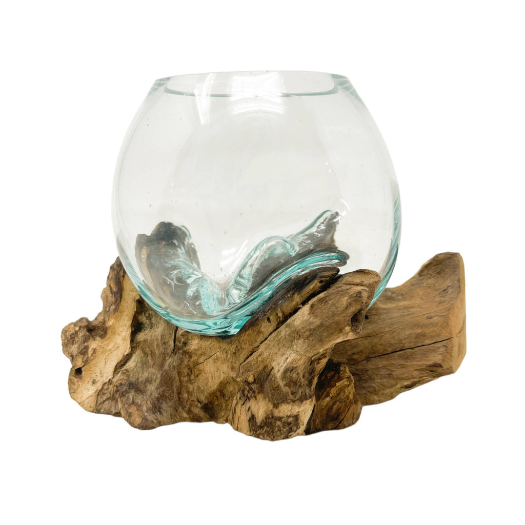 Tiny Glass & Driftwood Terrarium (approx. 6" x 5" x 5")