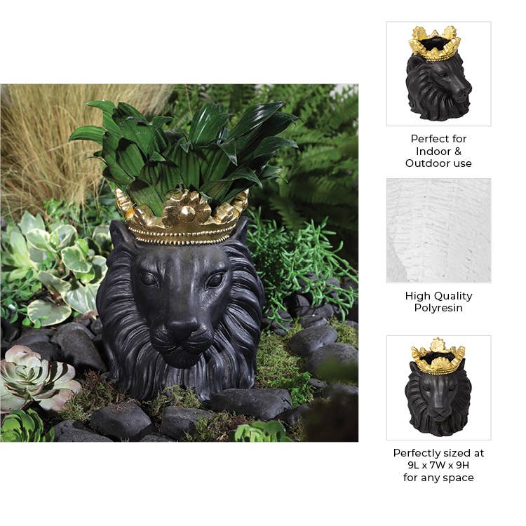 Resin Regal Lion Head Planter with Crown - Black, 9 in.