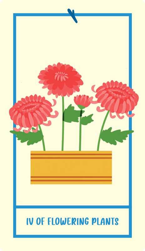 Houseplant Tarot by Minerva Siegel