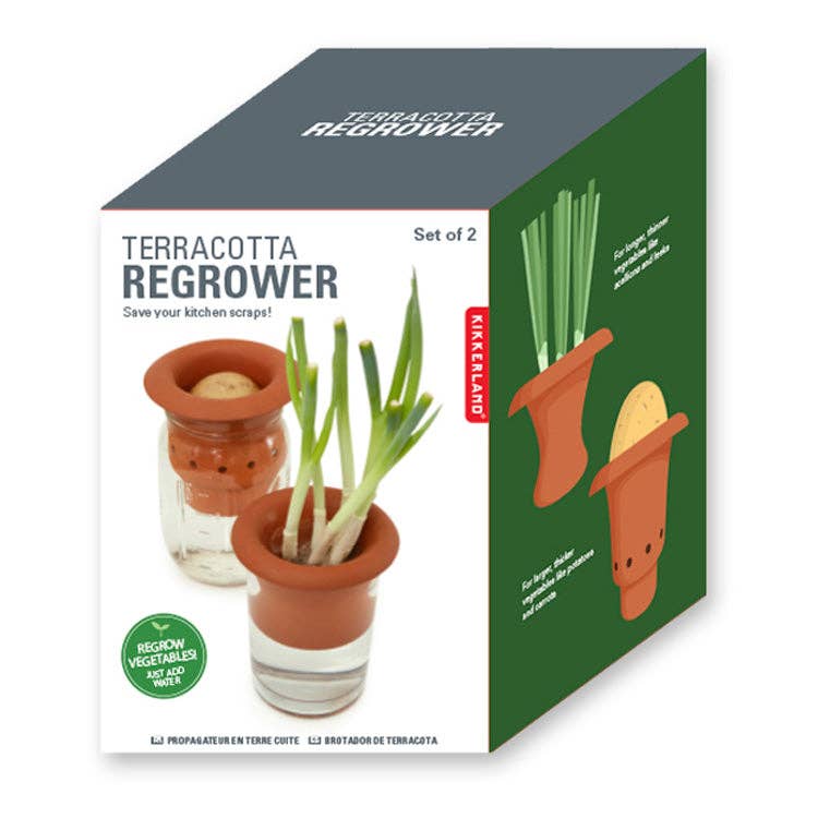 Terracotta Regrower