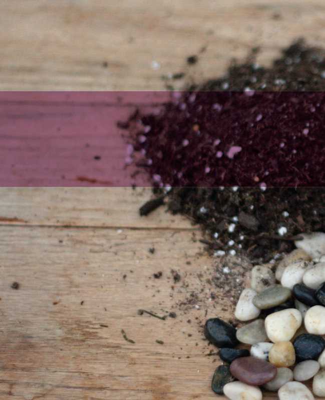 Terrariums Reimagined by Kat Geiger