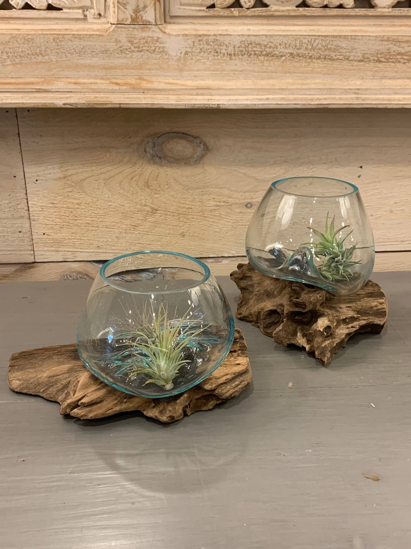 Tiny Glass & Driftwood Terrarium (approx. 6" x 5" x 5")