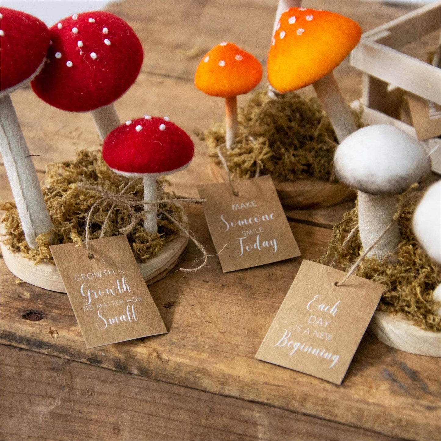 Mushroom Trio Soft Figures (Pk/09 Ast)