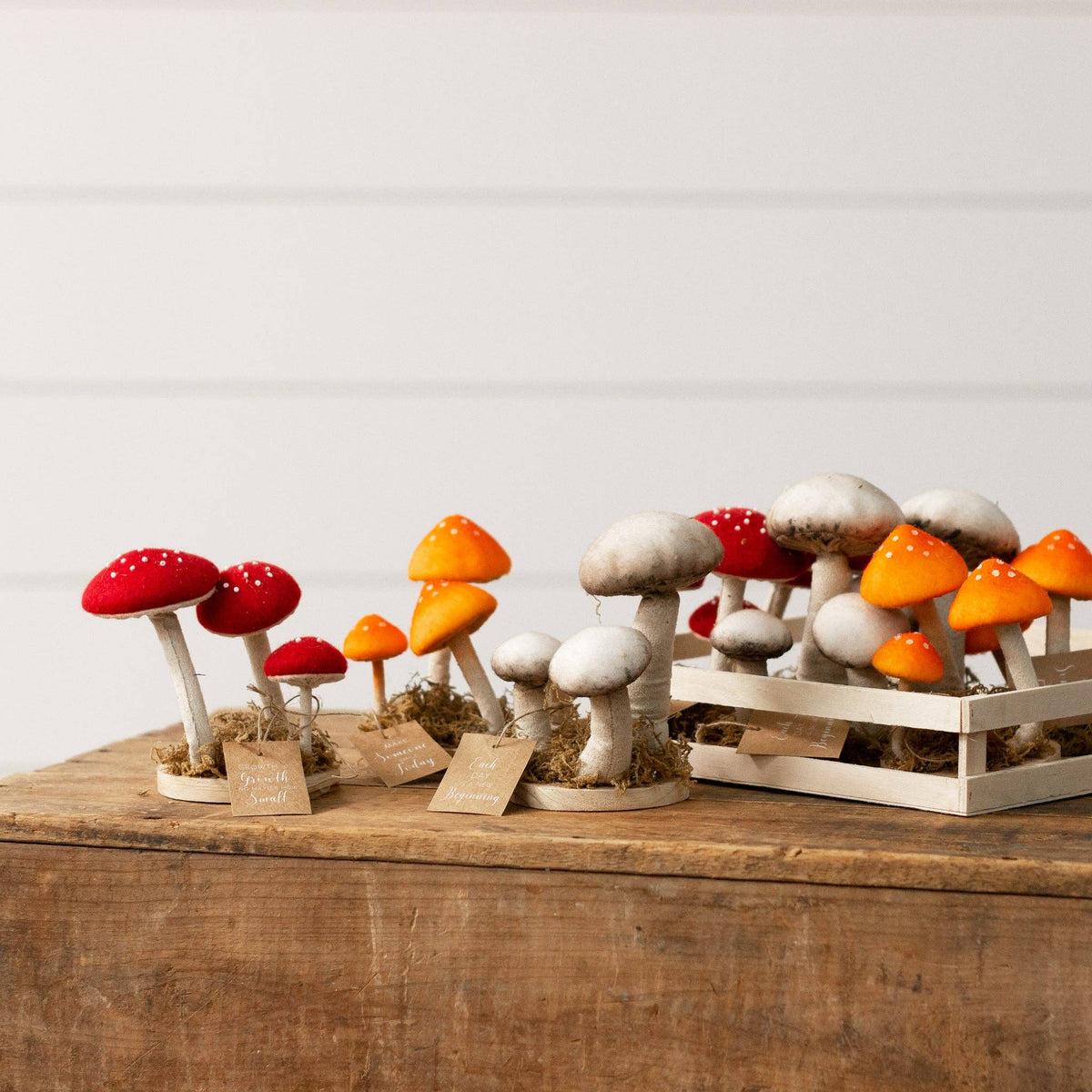 Mushroom Trio Soft Figures (Pk/09 Ast)