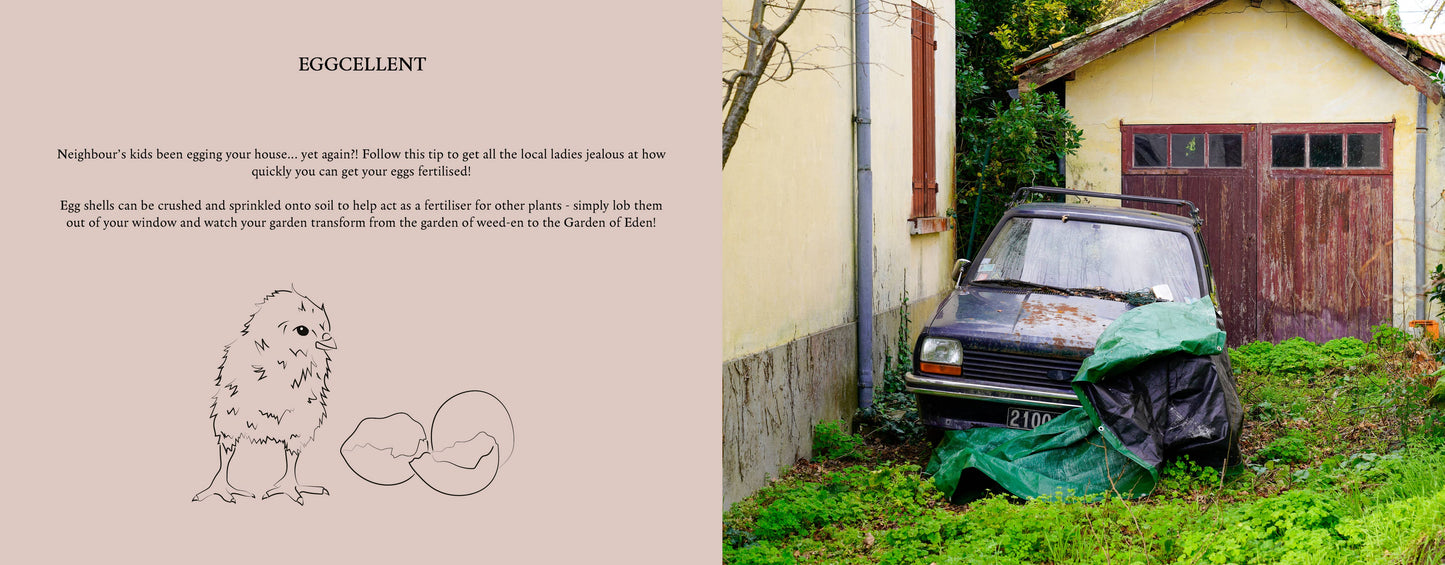 Wildgarden: A Guide to a Neglected Oasis - Plant Book