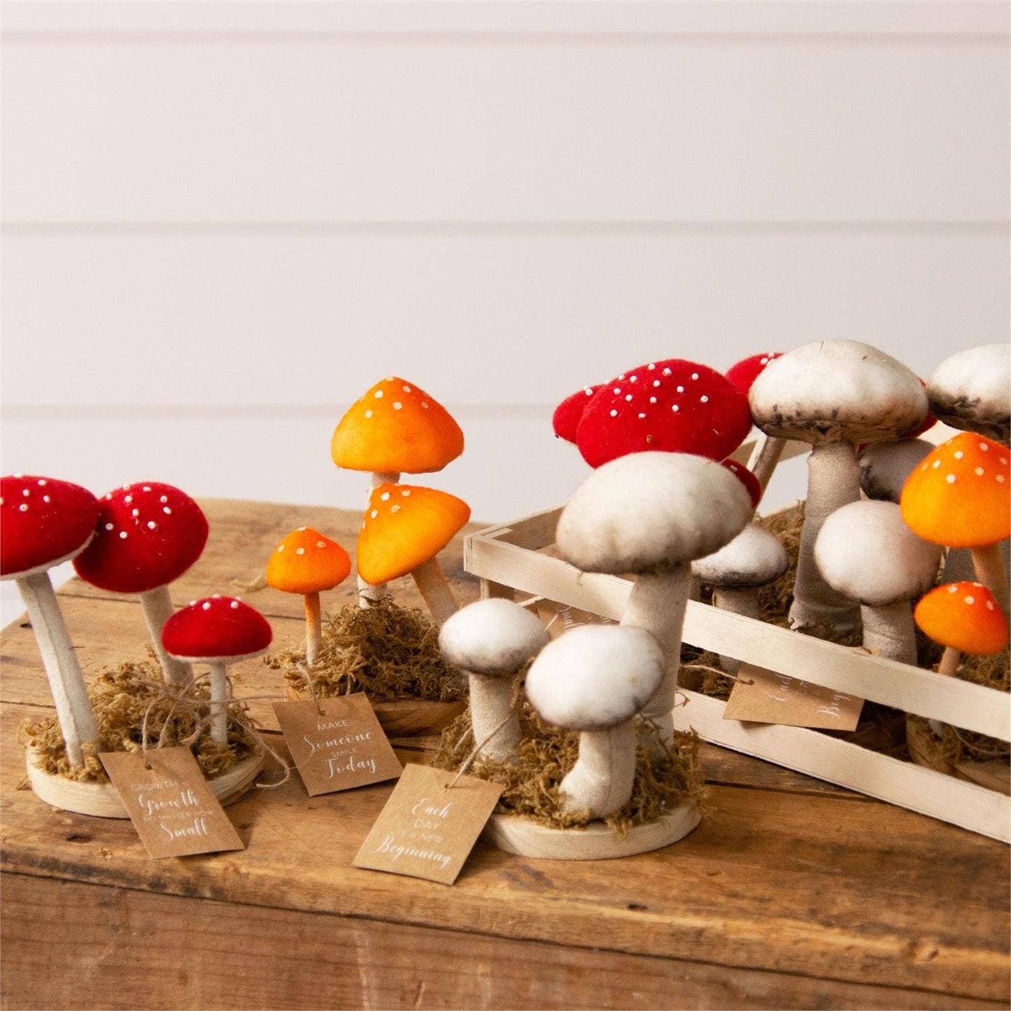 Mushroom Trio Soft Figures (Pk/09 Ast)