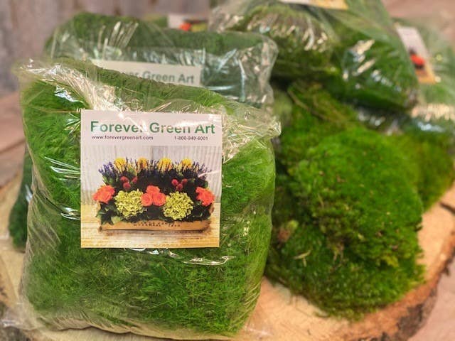 Mood Moss Bag