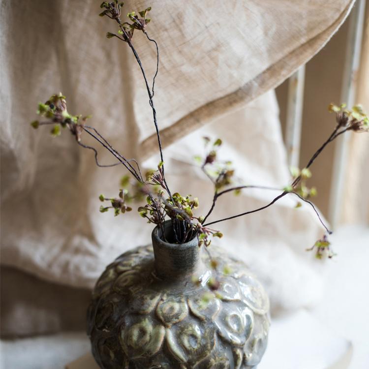 Erysimum Flower Plant Bundle 11" Tall