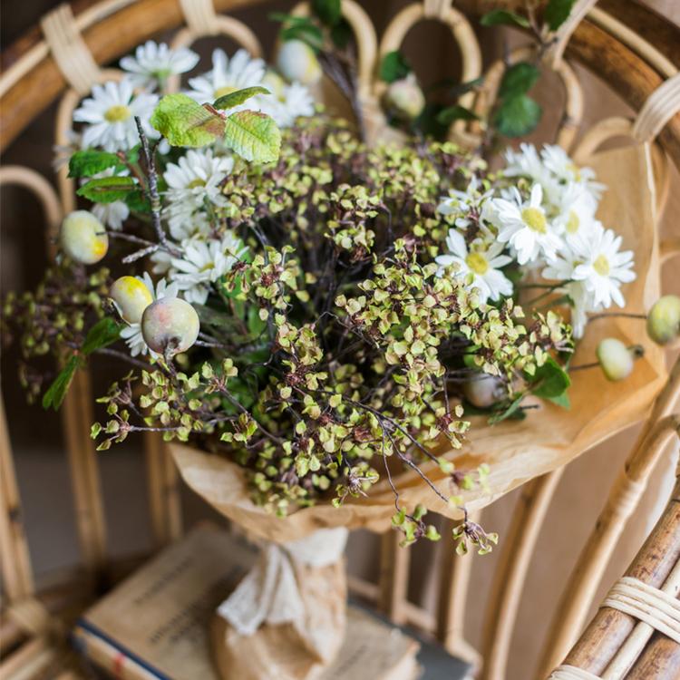 Erysimum Flower Plant Bundle 11" Tall