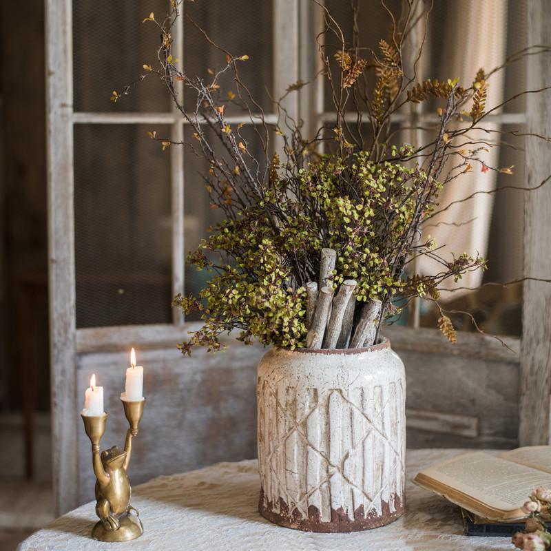 Erysimum Flower Plant Bundle 11" Tall