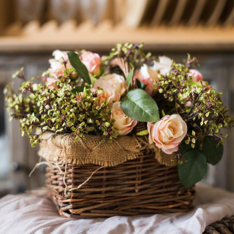 Erysimum Flower Plant Bundle 11" Tall