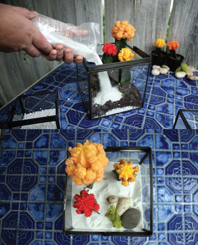 Terrariums Reimagined by Kat Geiger