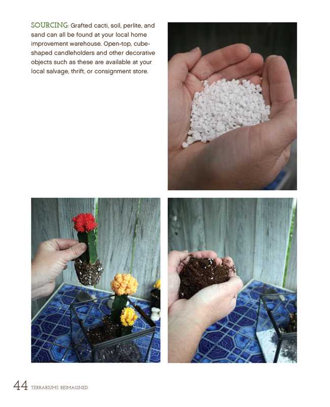 Terrariums Reimagined by Kat Geiger