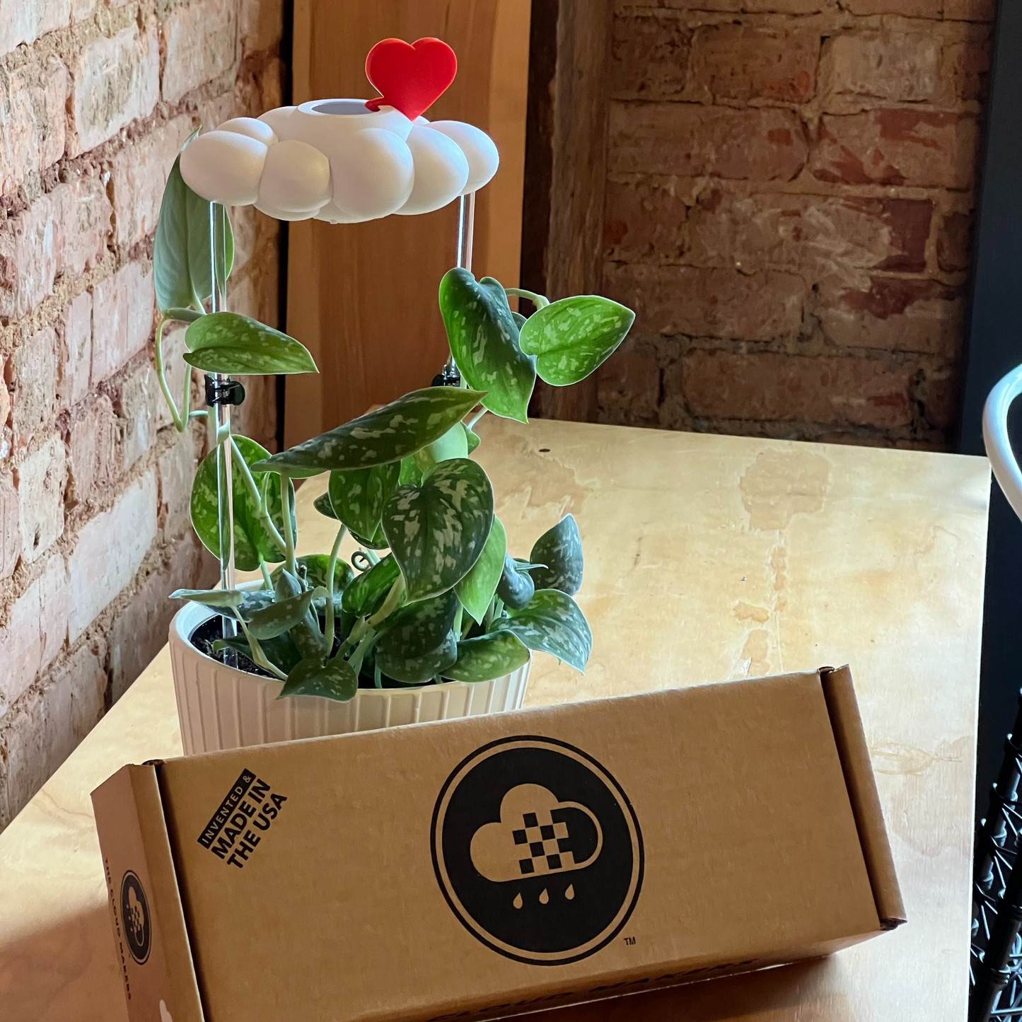 Original Dripping Rain Cloud with Red Heart Charm