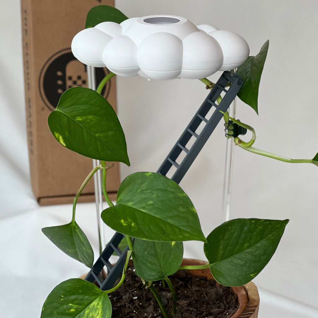 Original Dripping Rain Cloud with Ladder Charm