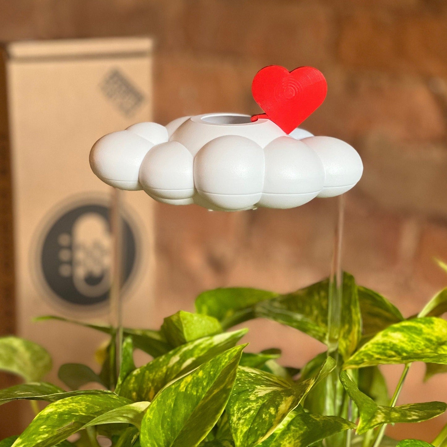 Original Dripping Rain Cloud with Red Heart Charm