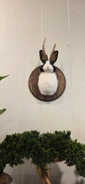 Jackelopes