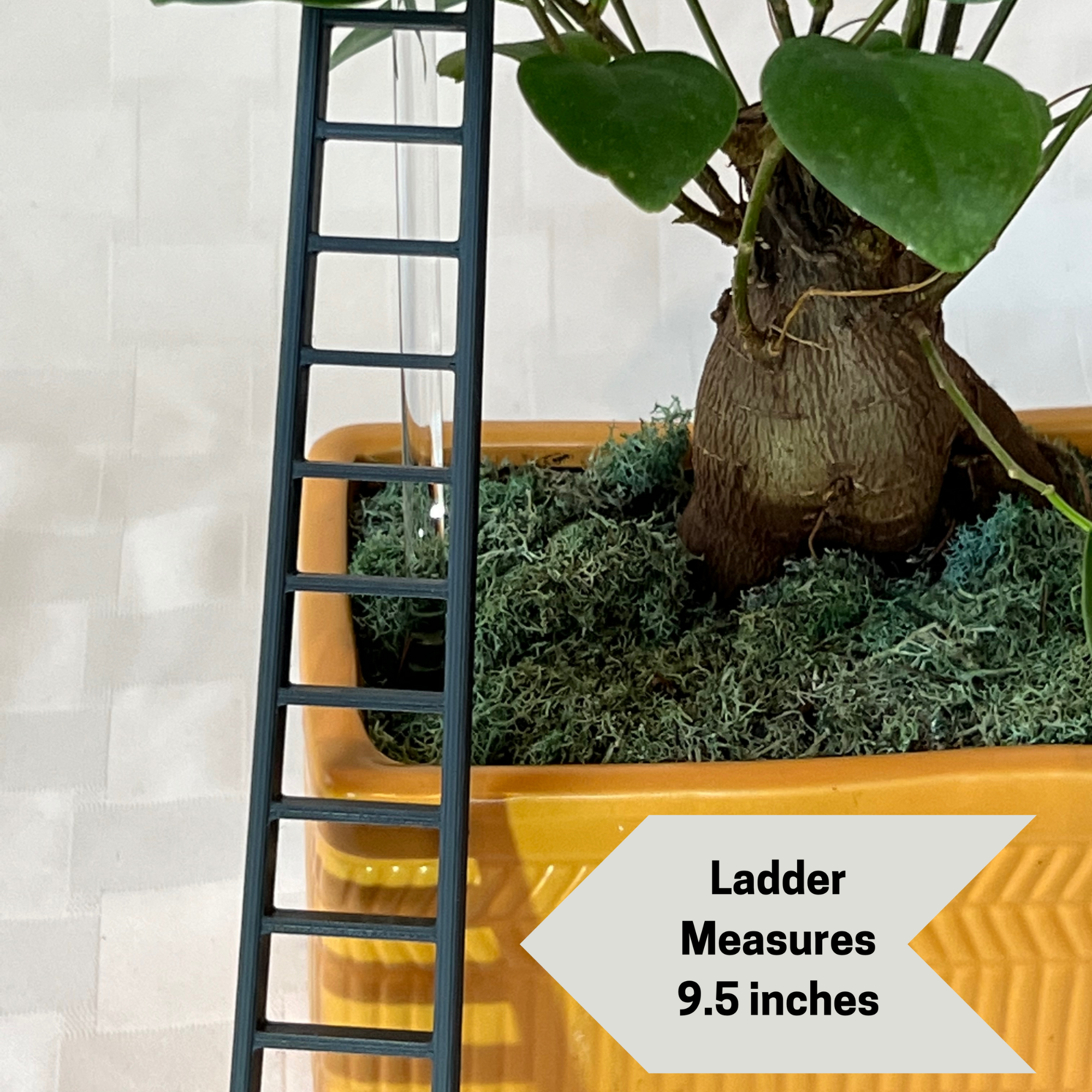 Original Dripping Rain Cloud with Ladder Charm