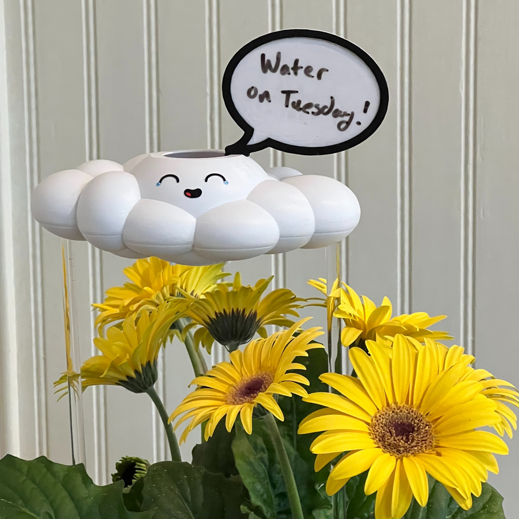 Misty the Cloud