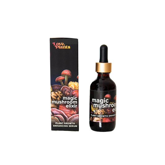 Magic Mushroom Elixir