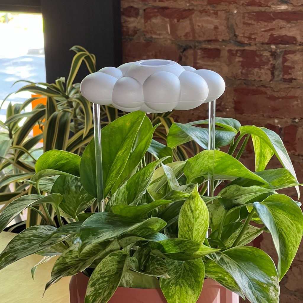 Original Dripping Rain Cloud