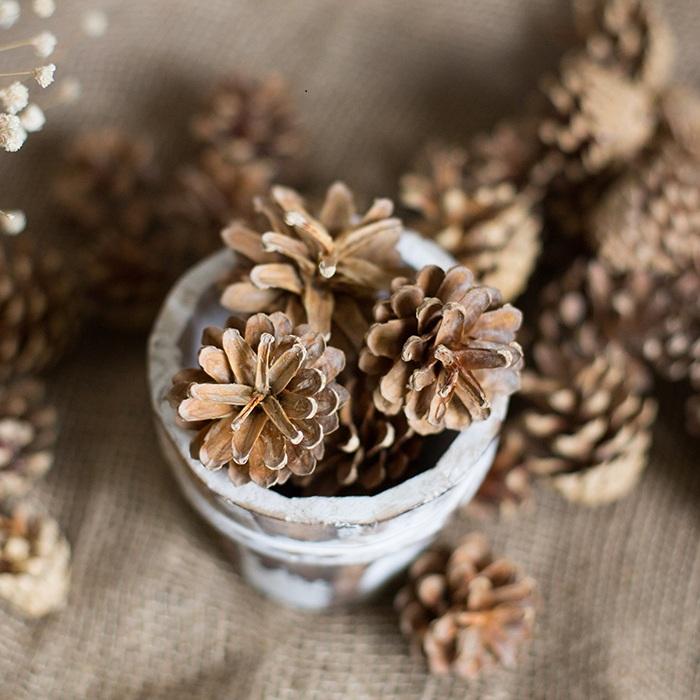 Pine Cone Decoration