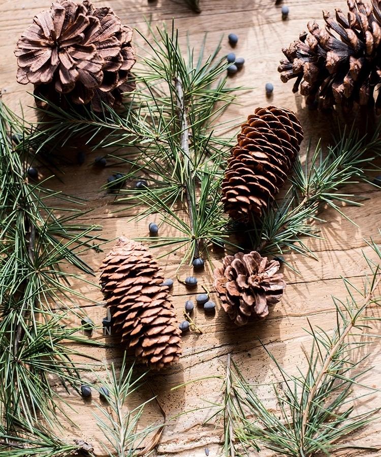 Pine Cone Decoration