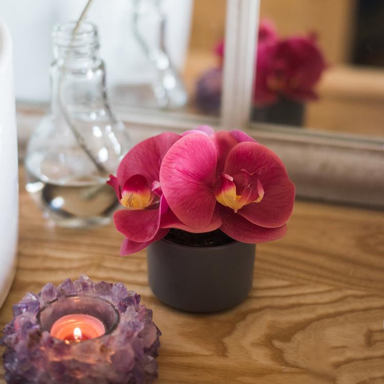 Artificial Potted Mini Real Touch Orchid Velvet Red