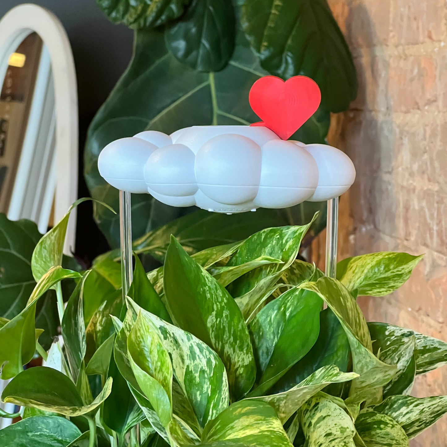 Original Dripping Rain Cloud with Red Heart Charm