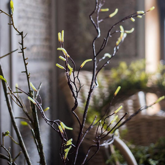 Seed Germination Branch Stem Faux