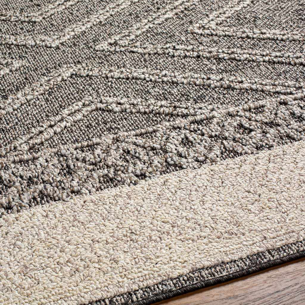 Areli Beige / Brown Outdoor Rug