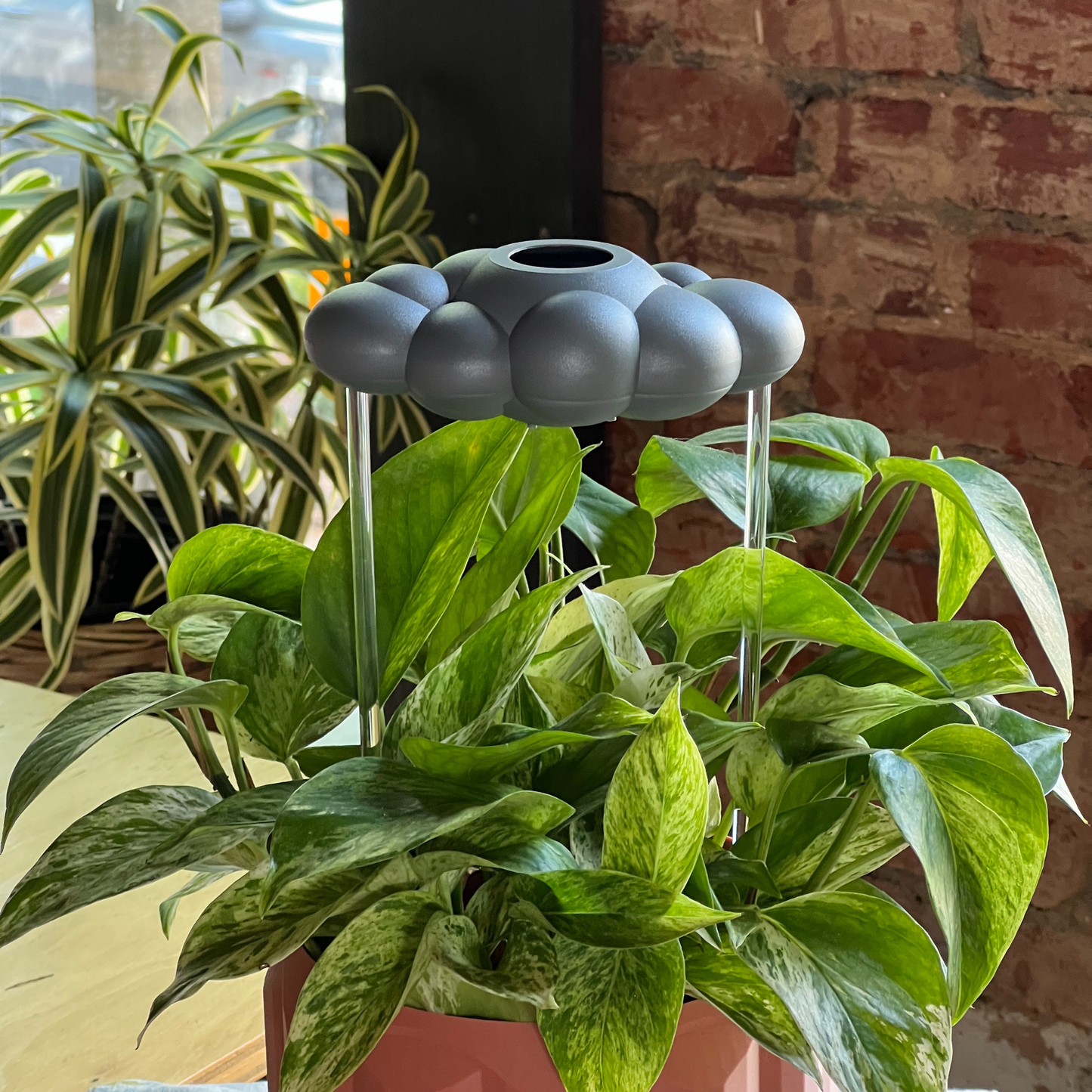 Stormy Dripping Rain Cloud