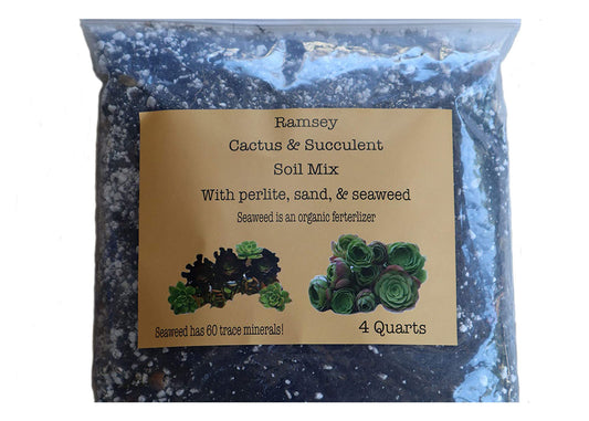 Ramsey Succulent & Cactus Soil Mix