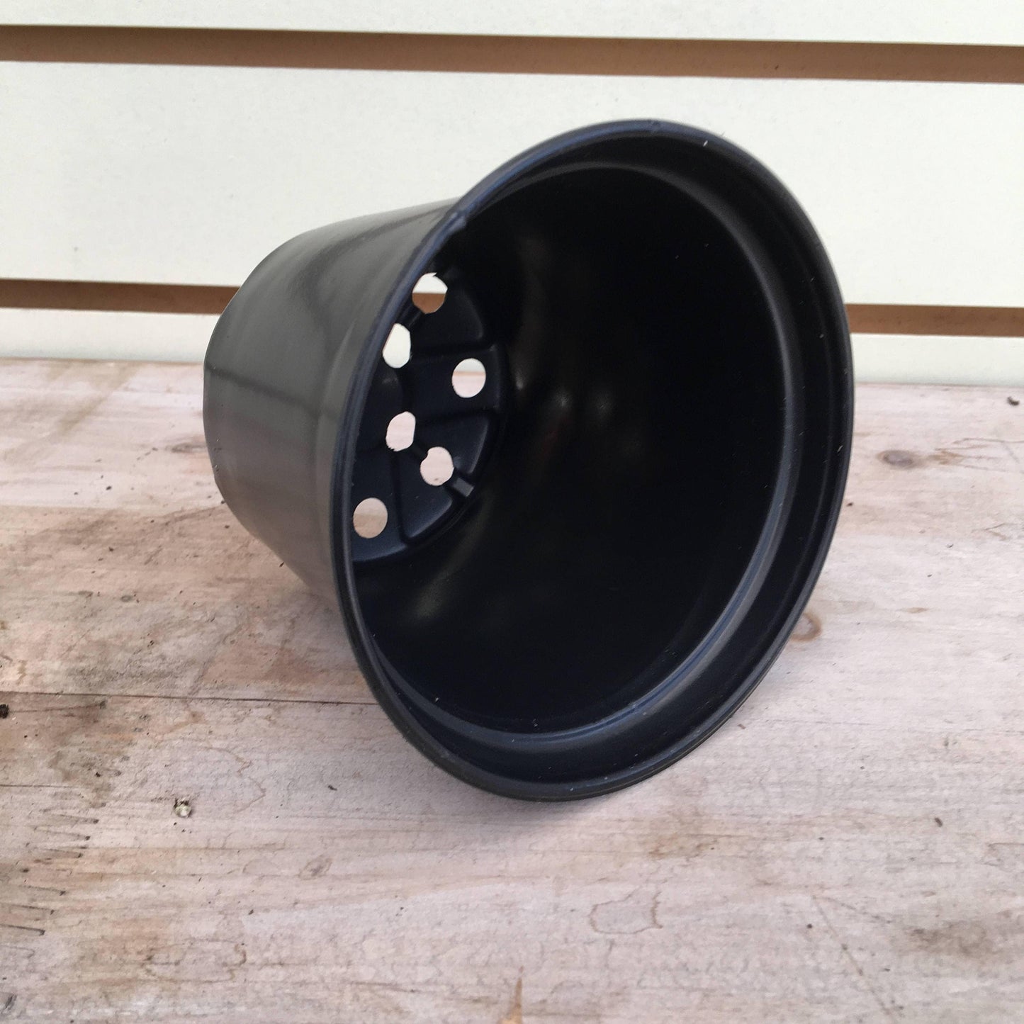 Starter Kit for 1 Large Plug