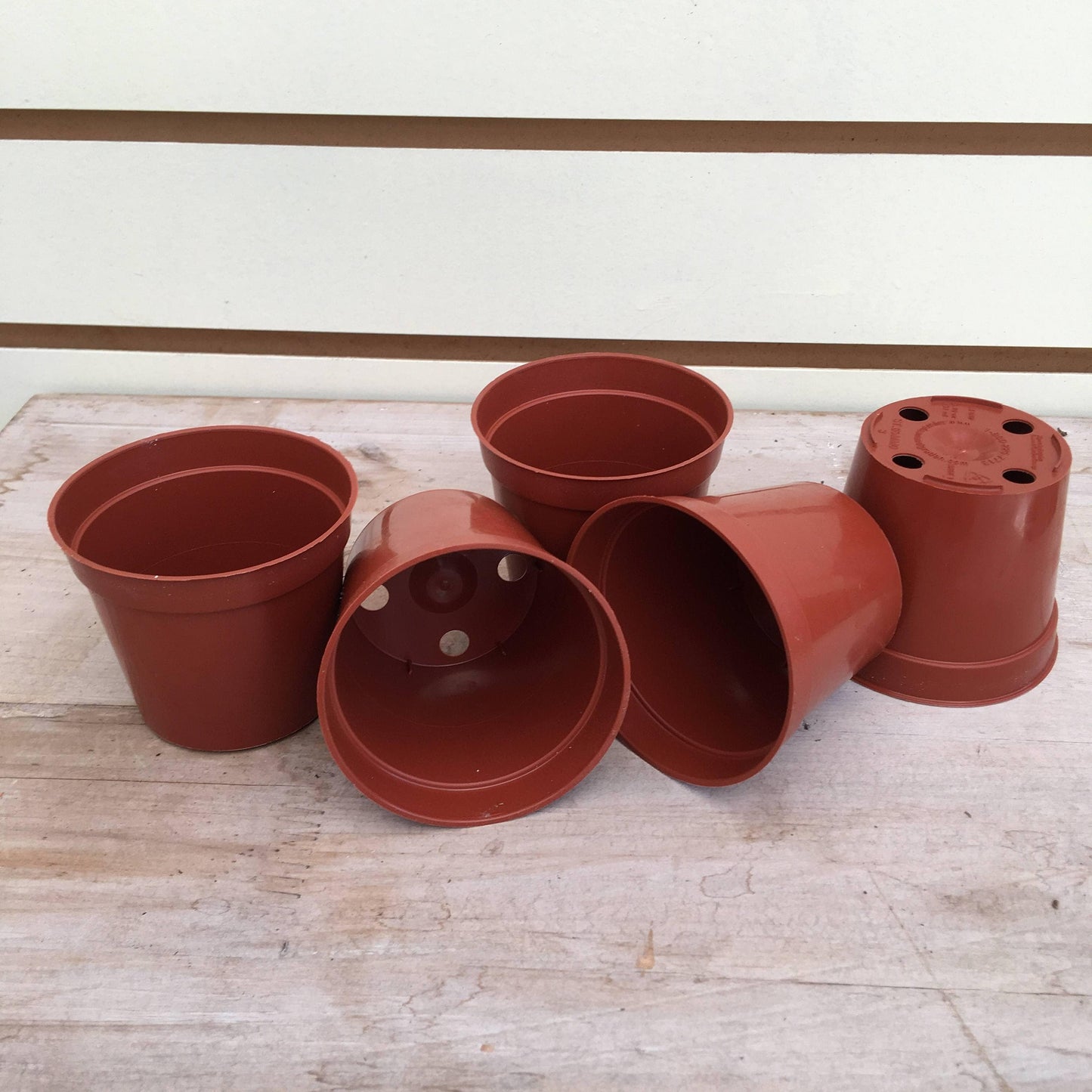 Starter Kit for 5 Small Plugs