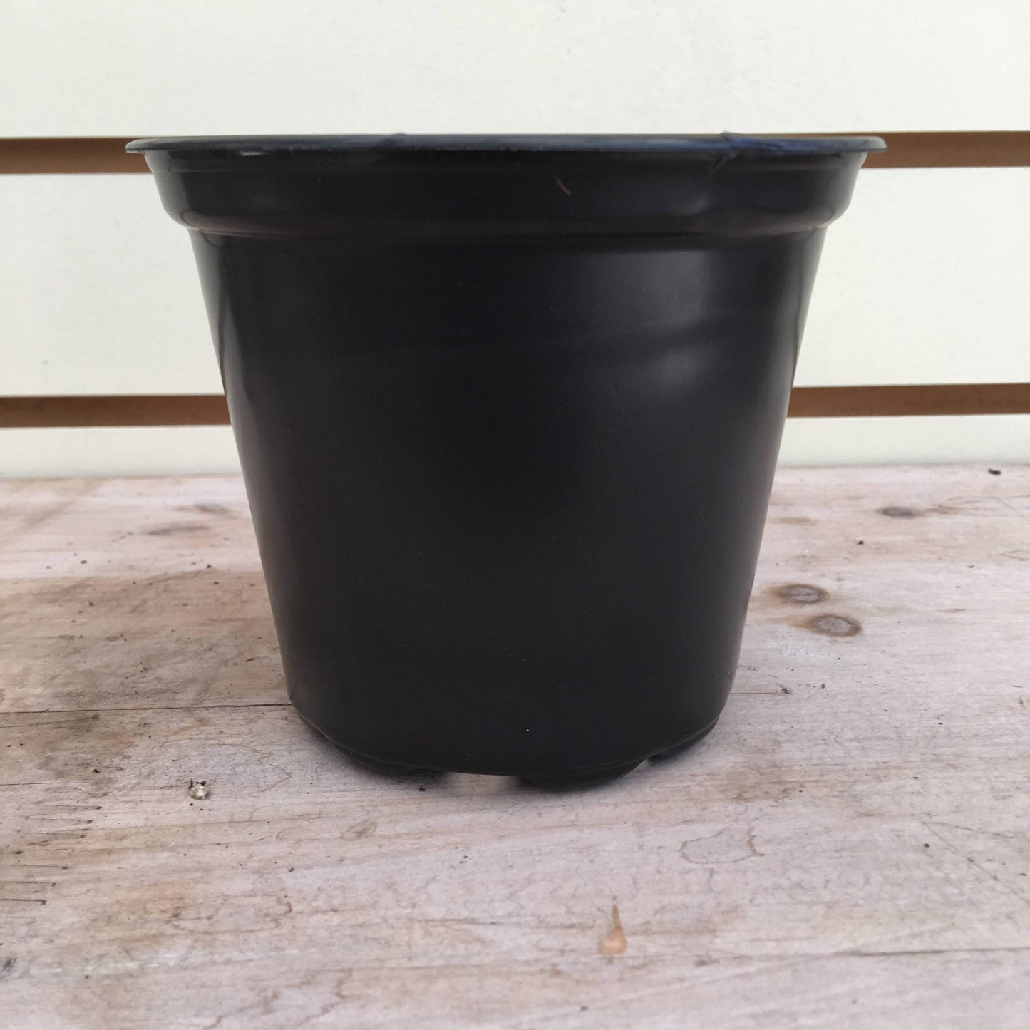 Starter Kit for Large Cuttings (2 Pots)
