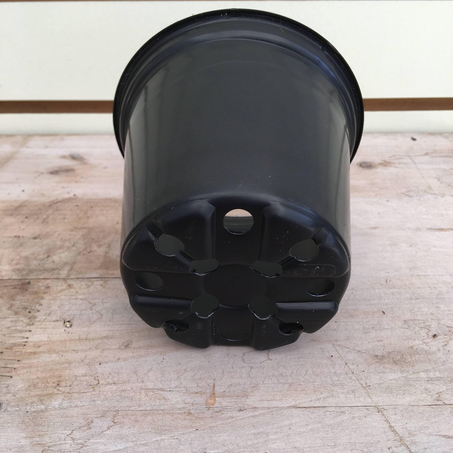 Starter Kit for Large Cuttings (2 Pots)