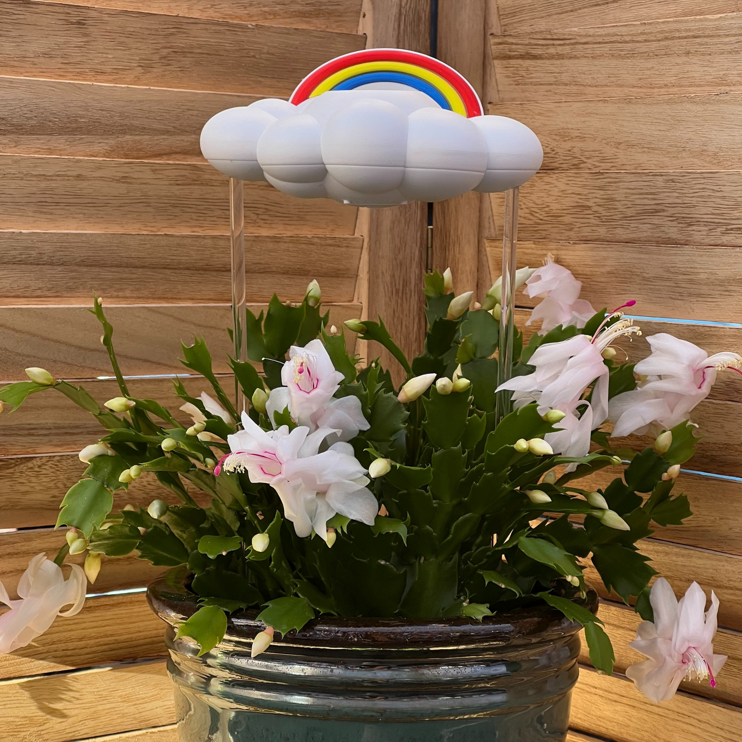 Original Dripping Rain Cloud with Rainbow Charm